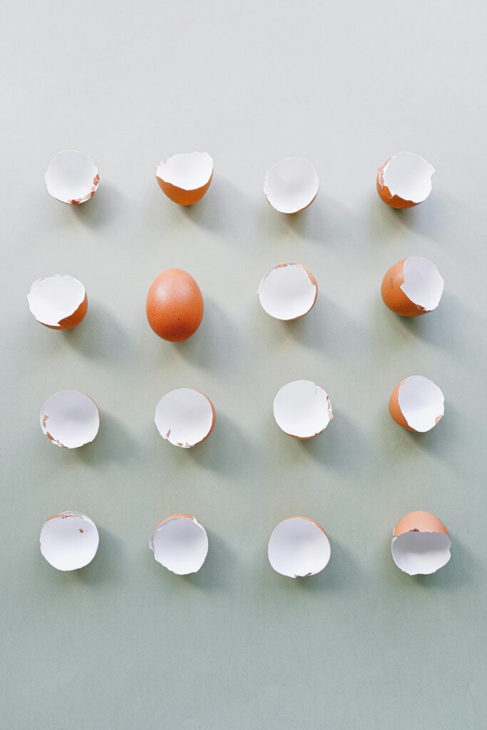 A creative still life composition featuring eggshells on a simple background.